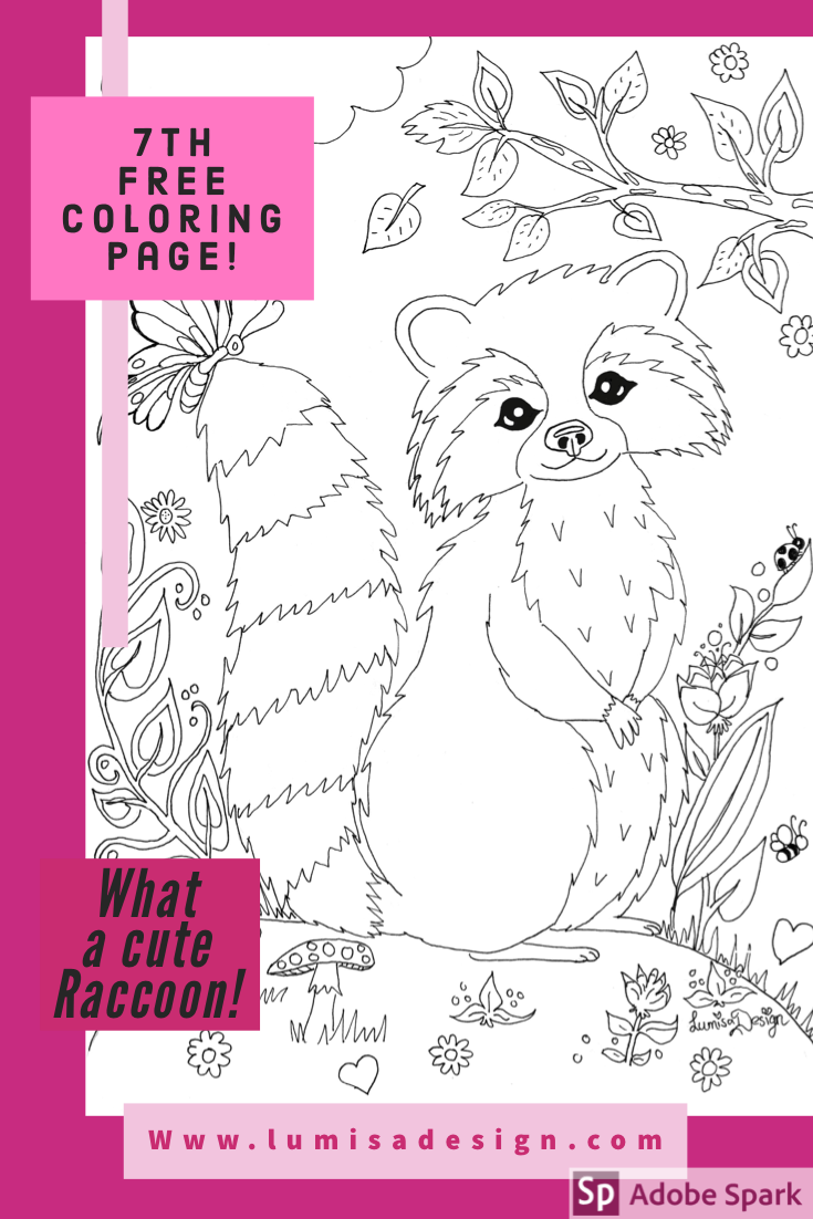 raccoon coloring page